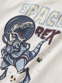 NAME IT T-shirt Victor Cloud Dancer Dino Rex